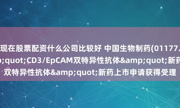 现在股票配资什么公司比较好 中国生物制药(01177.HK)：M701"CD3/EpCAM双特异性抗体"新药上市申请获得受理